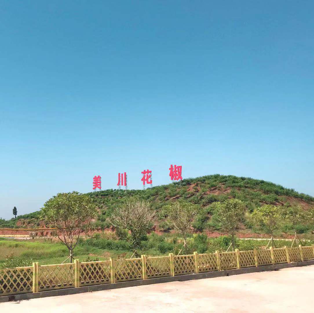 村企共創(chuàng)，建美麗宜居鄉(xiāng)村