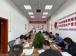 公司三支部召開黨員大會暨“形式主義、官僚主義”集中整治工作會