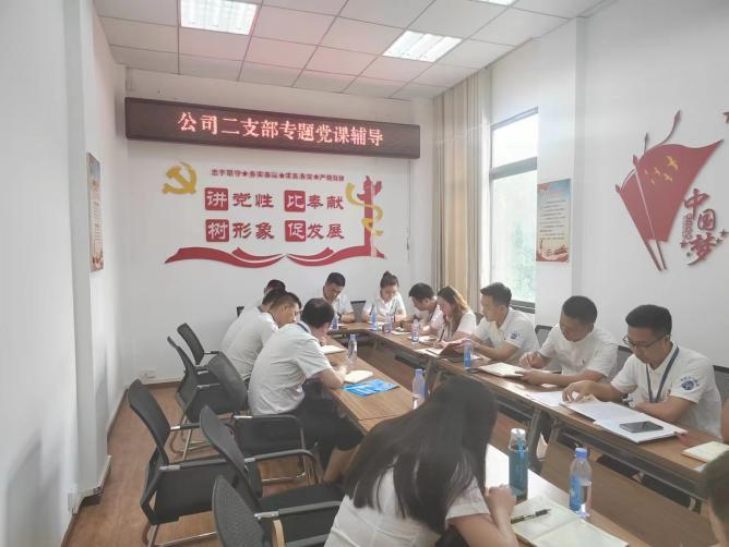 公司二支部開展“齊力共進(jìn)、強(qiáng)企有我” 主題黨日活動