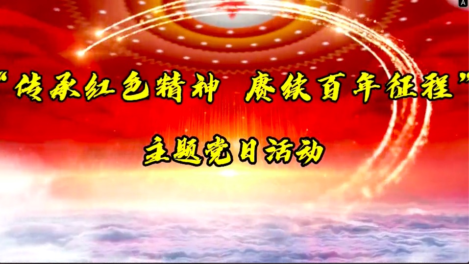 傳承紅色精神，賡續(xù)百年征程-共產(chǎn)黨員服務(wù)大隊(duì)主題黨日活動(dòng)